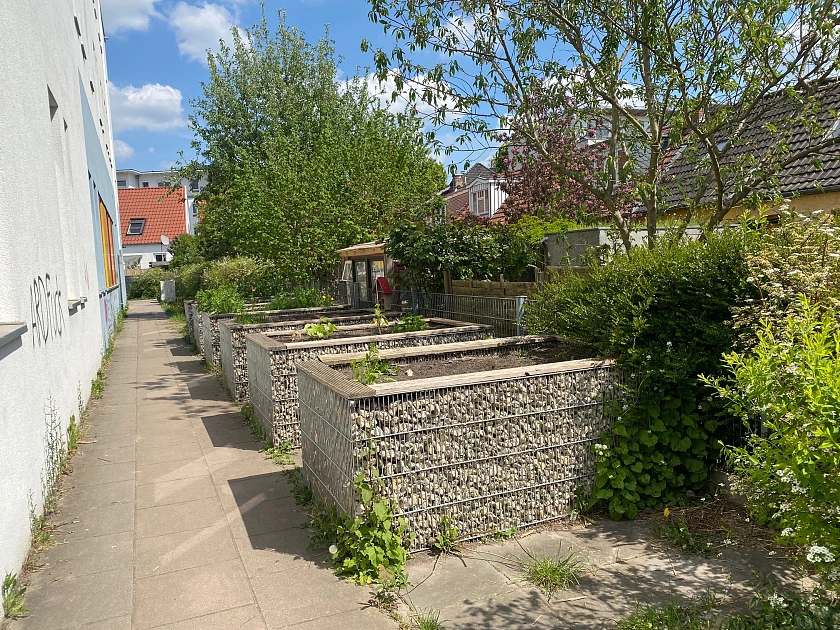 Unser Schulgarten